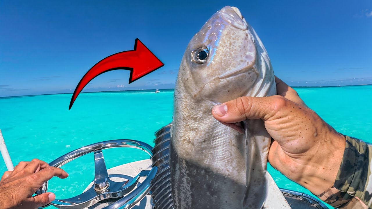 Florida Keys Fishing {WHOLE COOKED FISH} catch and cook