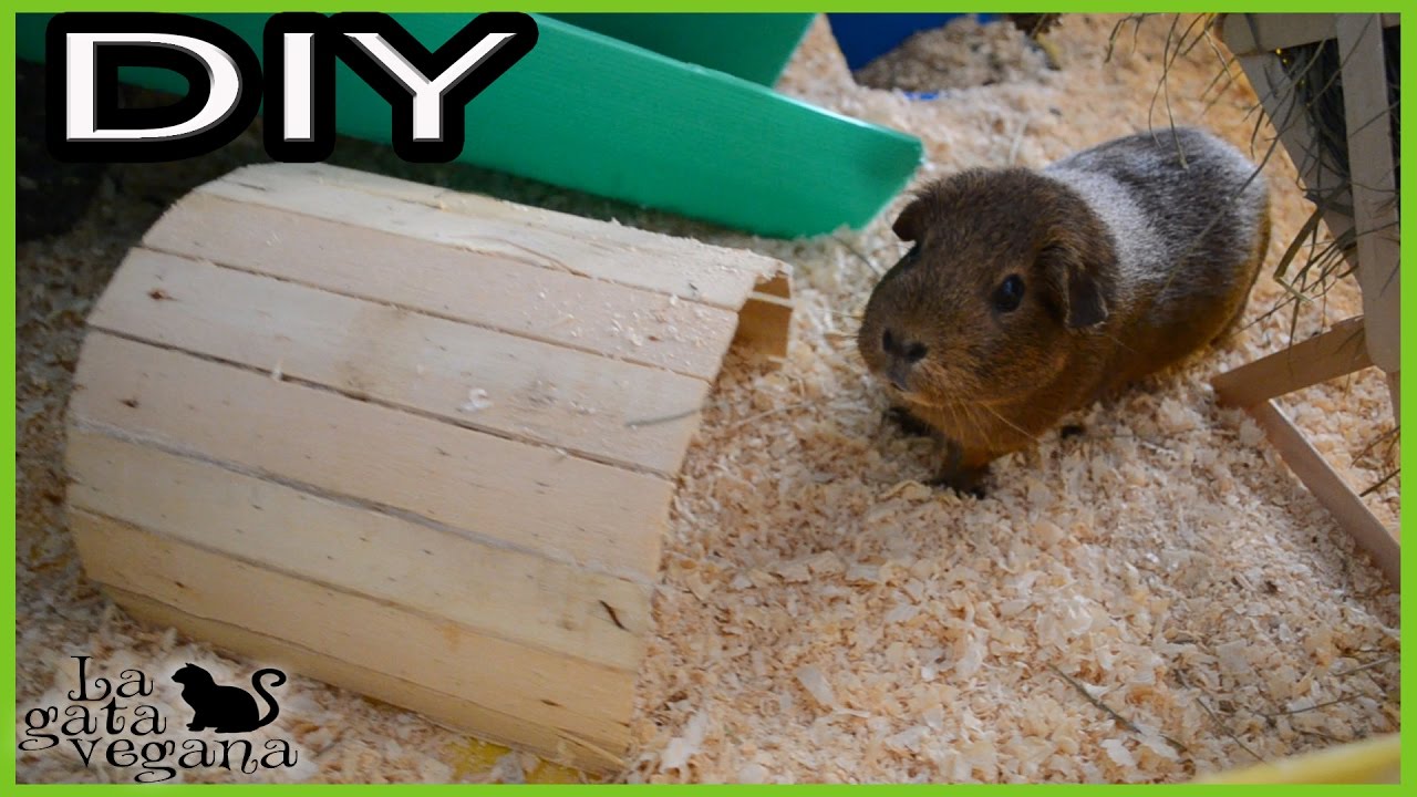 DIY TÚNEL DE MADERA CON CAJAS RECICLADAS PARA ROEDORES Y CONEJOS | HAZLO TÚ MISMO | ESPECIAL COBAYAS