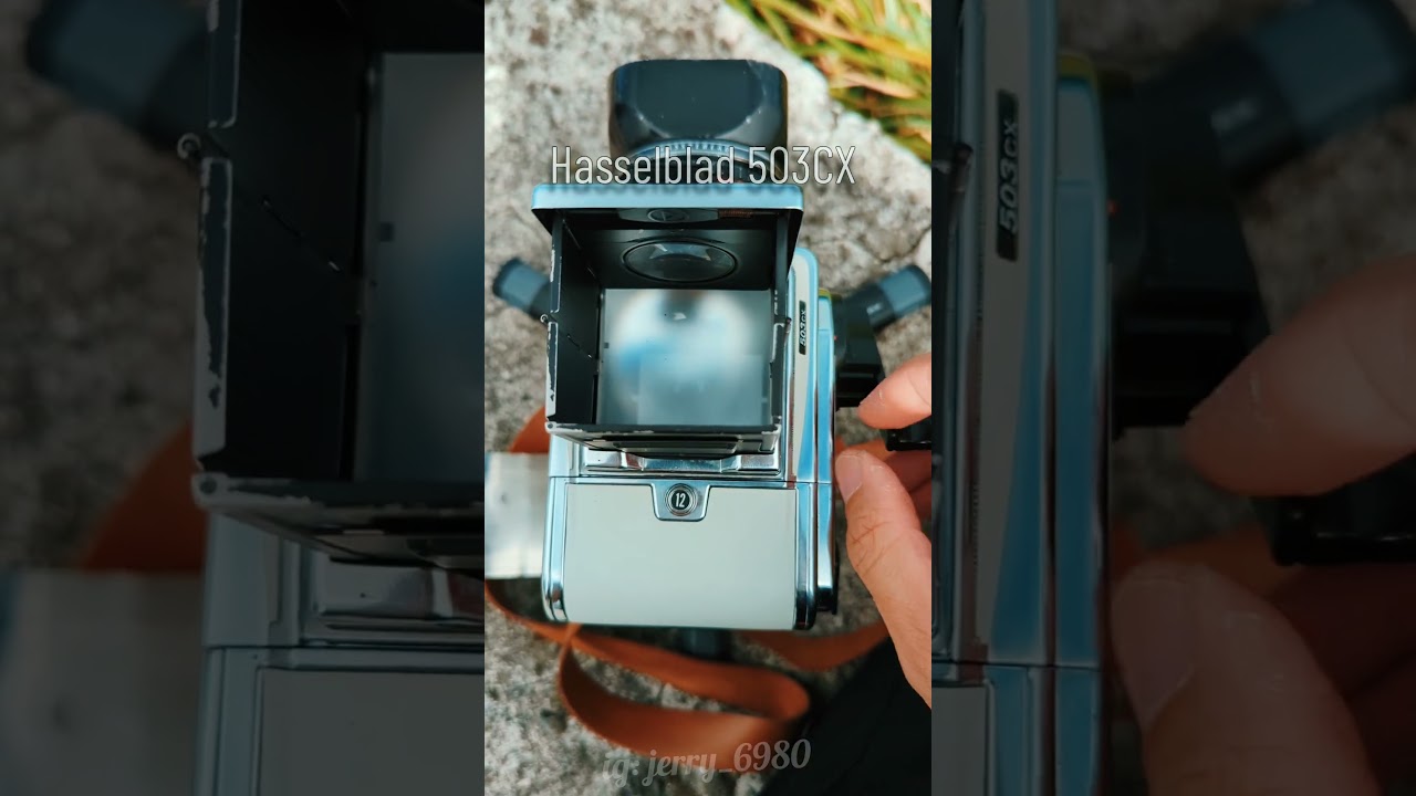 哈蘇 503CX  #camera #hasselblad #哈蘇