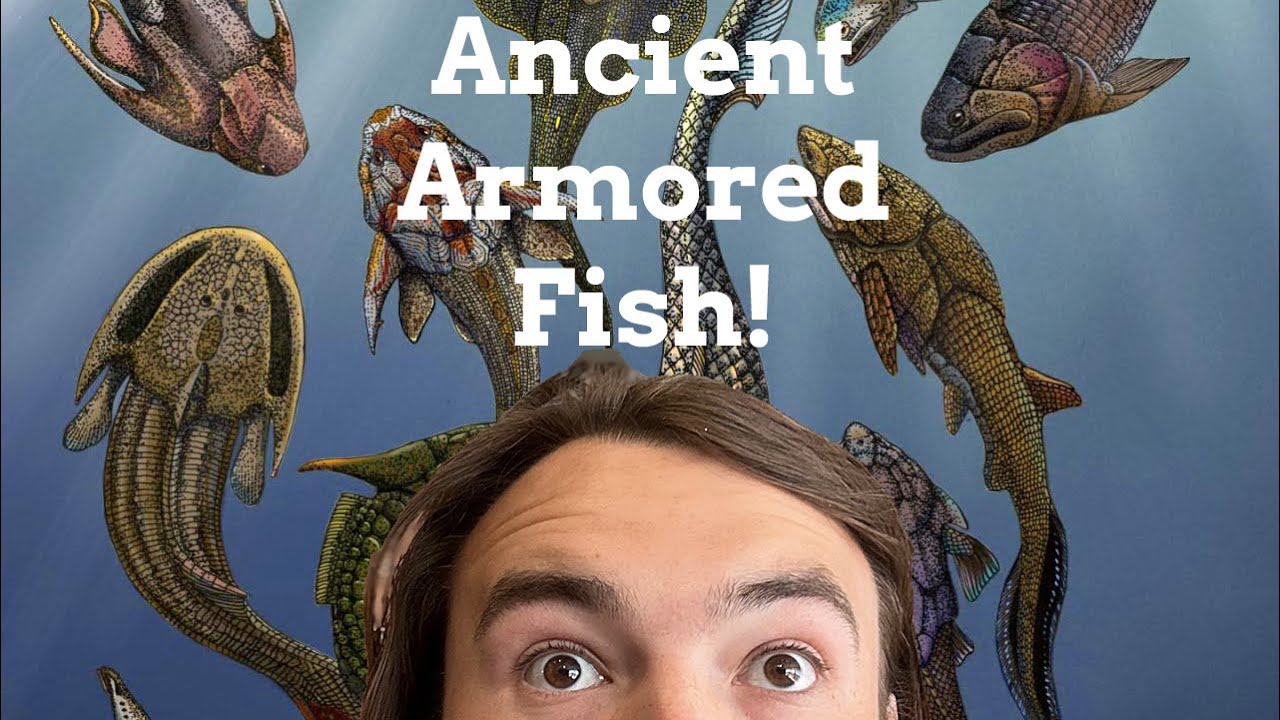 Let&rsquo;s learn about Placoderms! 