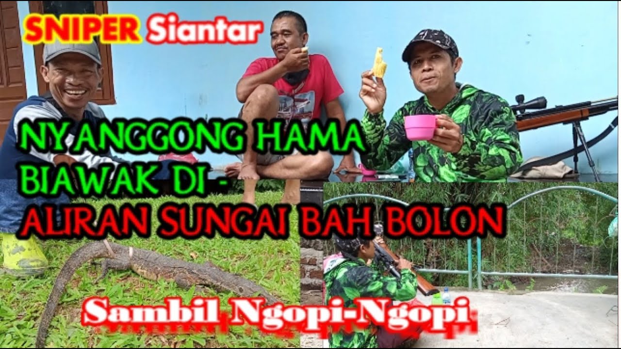 Nyanggong Hama Biawak Sambil Ngopi di Sungai Bah Bolon | Lizard pests control in the Bah Bolon River