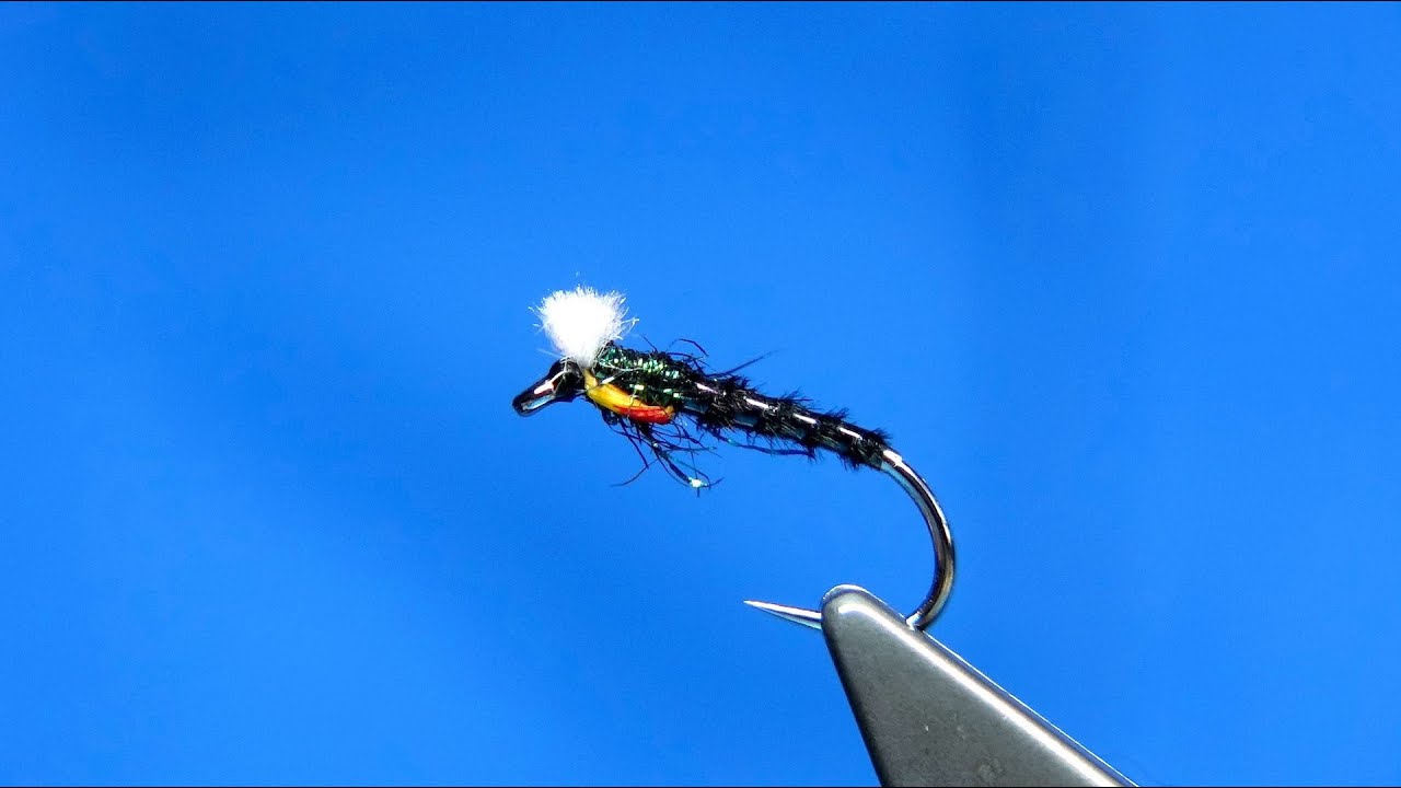 Tying an Early Season Midge Pupa by Davie McPhail