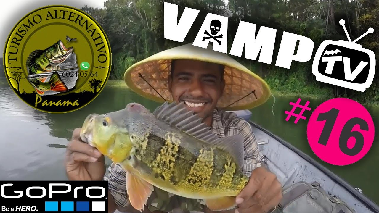 VAMP TV 16
