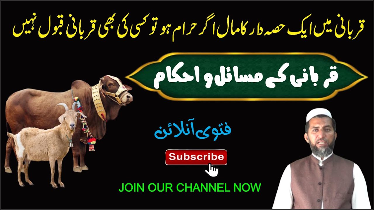 Qurbani ke Hisa Daron mein Agar 1 ki Amdan Haram ho To Kya Kisi Ki Qurbani Nahi Ho Gi | Fatwa Online