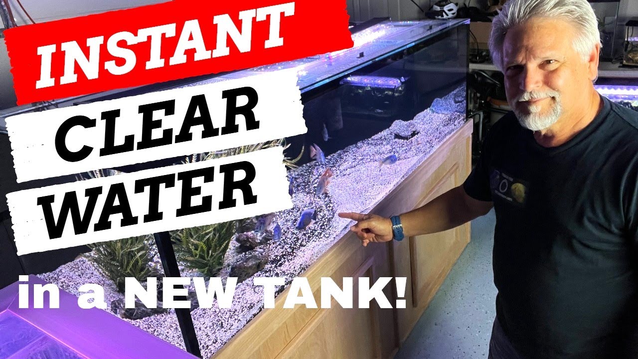 Clear Water in a New Tank *HOW I DO IT* [Clears up Old Tanks Too!]