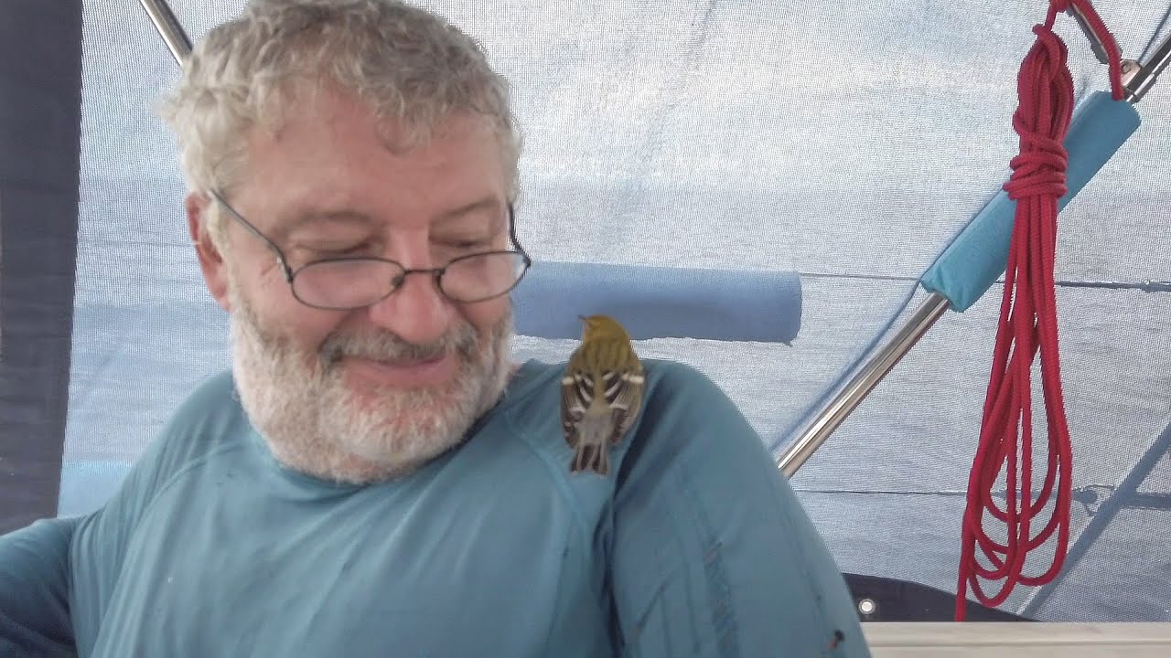 Nouveau coéquipier pour la traversée, Panama | voilier Silkap