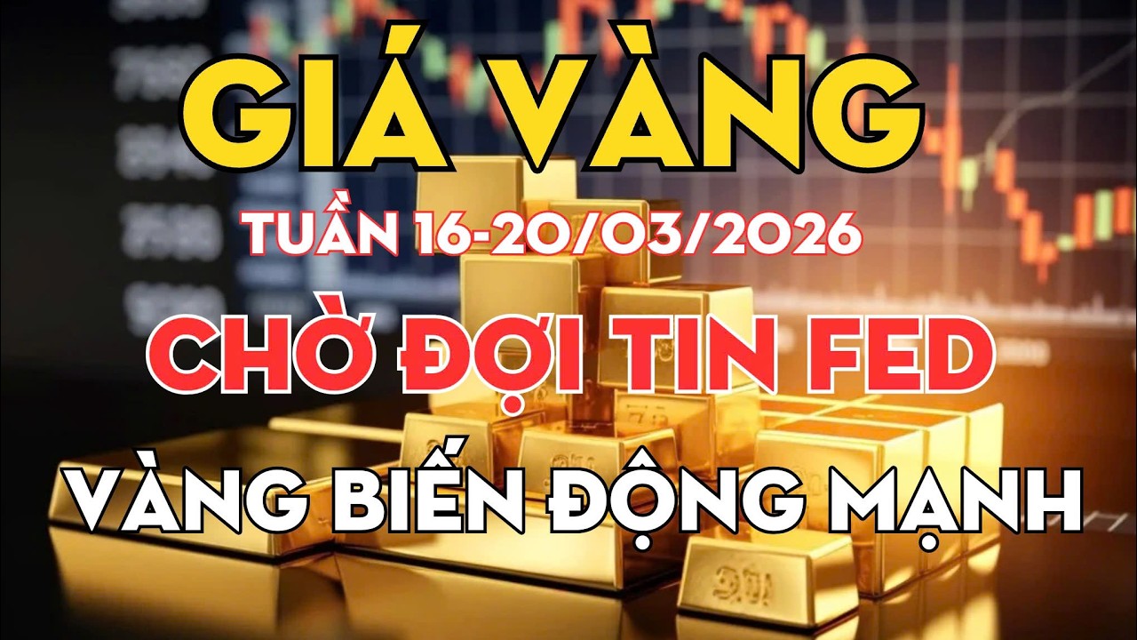 ⚠️ CẬP NHẬT THỊ TRƯỜNG VÀNG – Tuần Tới Có Biến Động LỚN