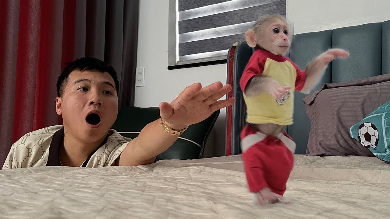 Cubis Monkey Misses Auntie, Sneaks Out to Find Her at Night!