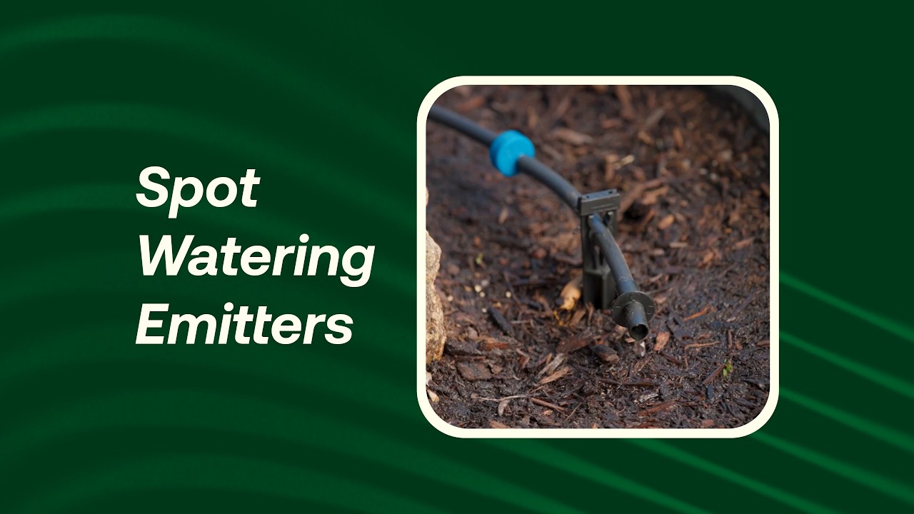 Rain Bird Drip Irrigation | Spot Watering Emitters: Precise Watering at the Root Zone