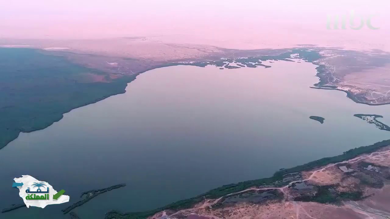 بحيرة الأصفر بالأحساء Yellow Lake