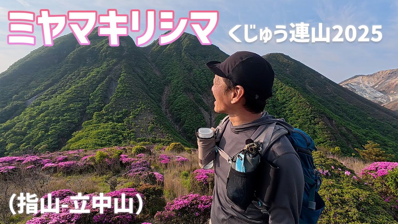 【日帰り登山】ミヤマキリシマ溢れるくじゅう歩き。 先ずは指山と立中山を紹介します。 2025.06.01