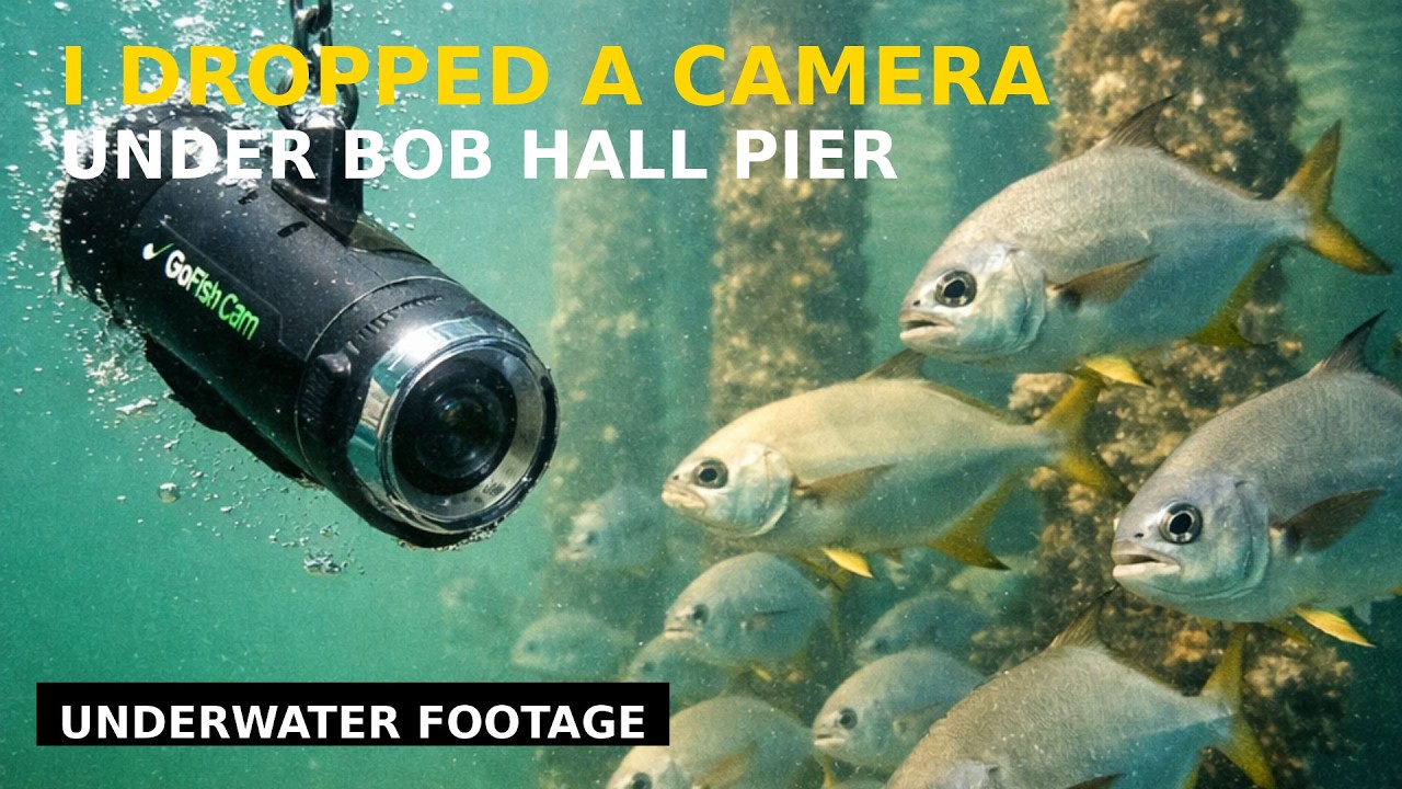 Подводные камеры на пирсе… Бурильщик задержан… Рыбак арестован