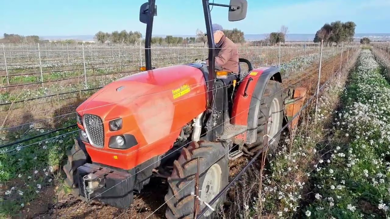 Same Frutteto Natural 80 con trinciasarmenti Braima