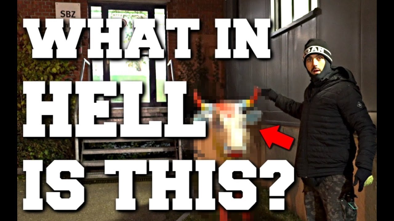 Я НИКОГДА не видел ничего подобного в своей ВСЕЙ ЖИЗНИ