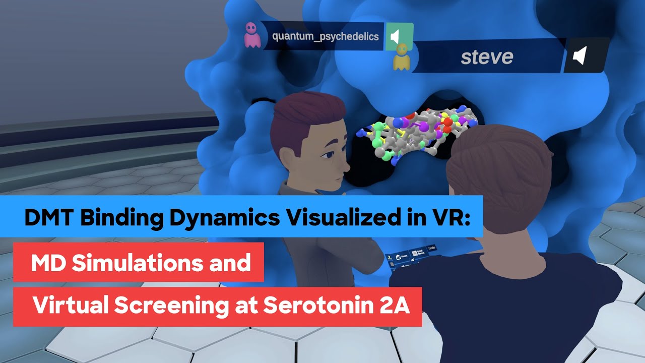 DMT Binding Dynamics Visualized in VR: MD Simulations and Virtual Screening at Serotonin 2A