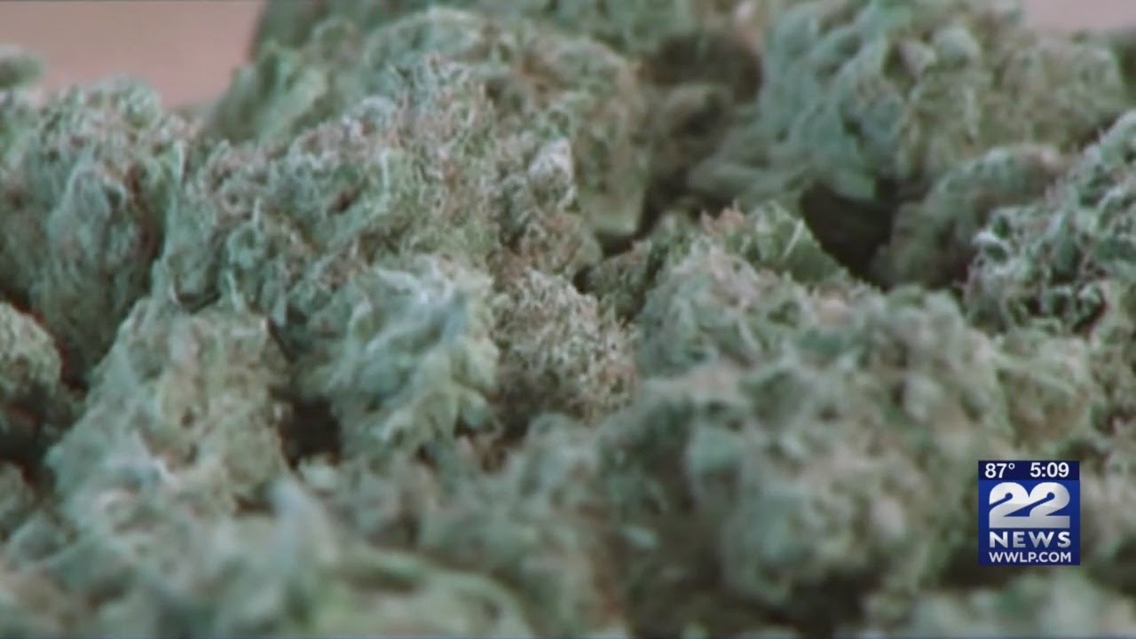Cannabis Delivery Service Status