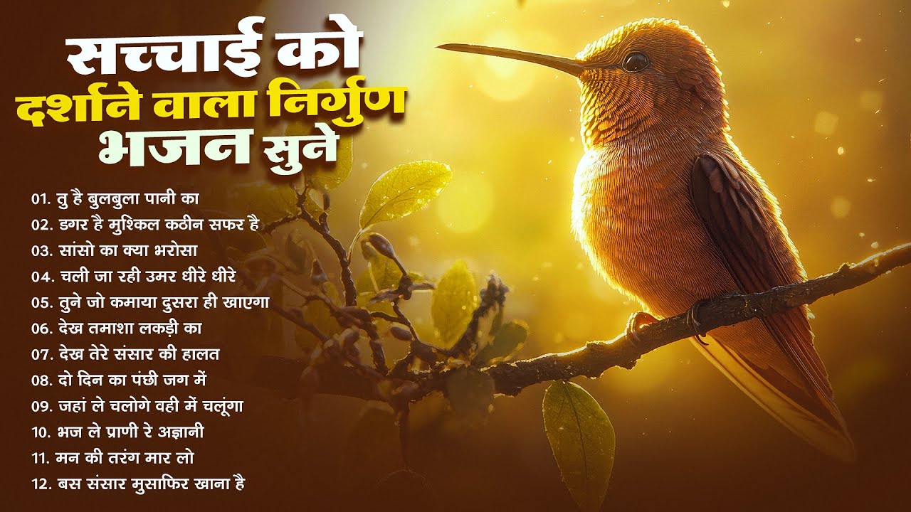 सच्चाई को दर्शाने वाला निर्गुण भजन - Chetawani Bhajan - Satsangi nirgun Bhajan 2026