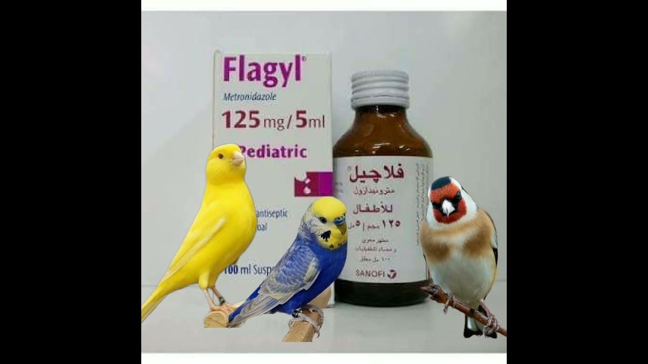 فلاجيل علاج أمراض الطيور إلتهاب الأمعاء والعرق الأزرق والكوكسيديا