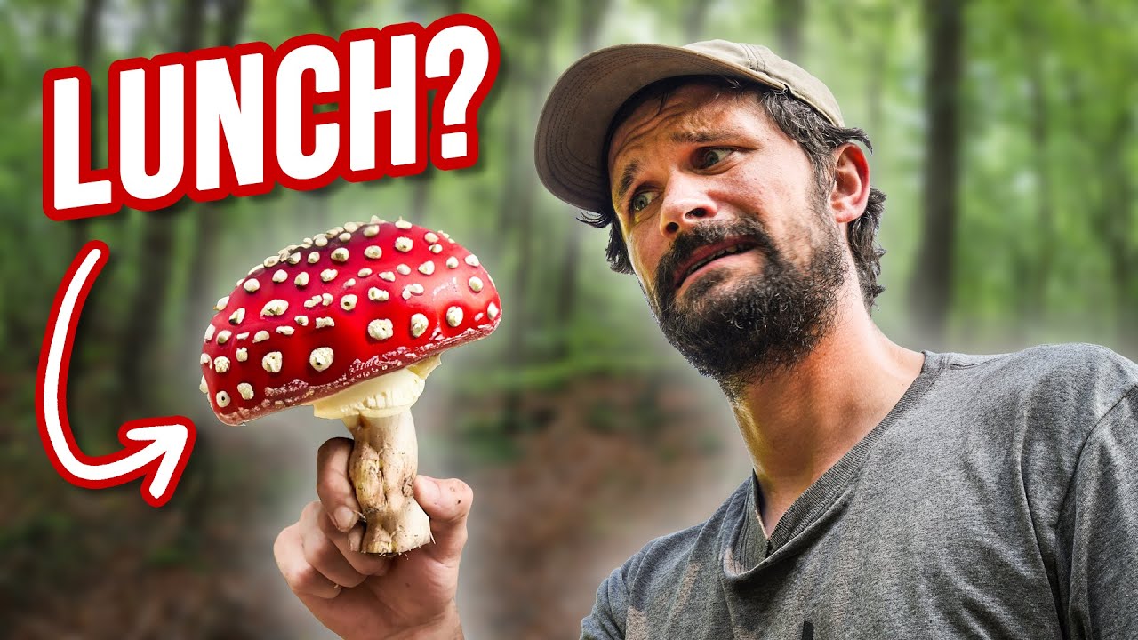 We Went Foraging For Our Food