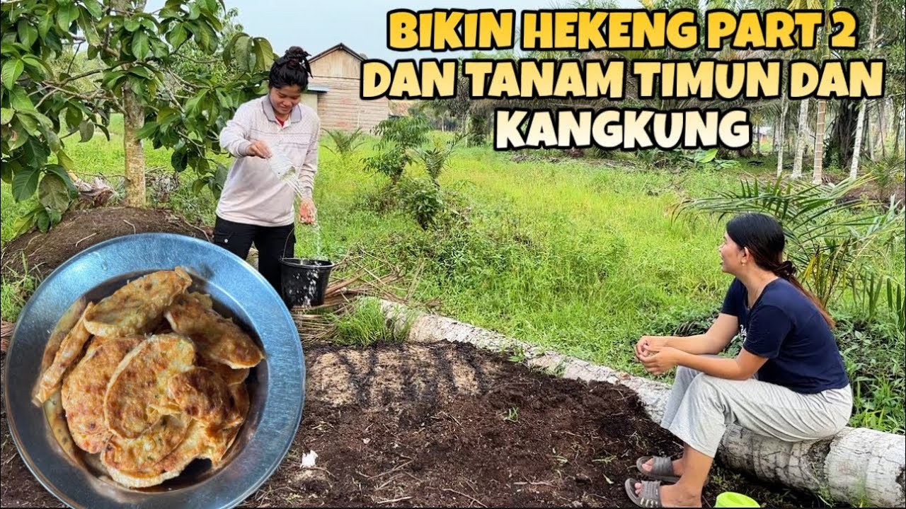 BIKIN HEKENG PART 2 LANJUT TANAM SAYIR DI KEBUN BAPAKE