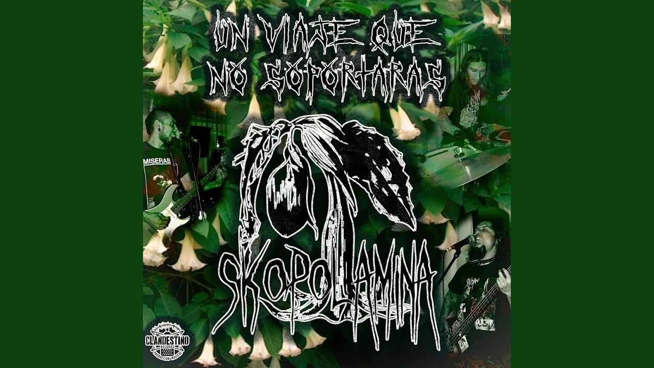 Skopolamina