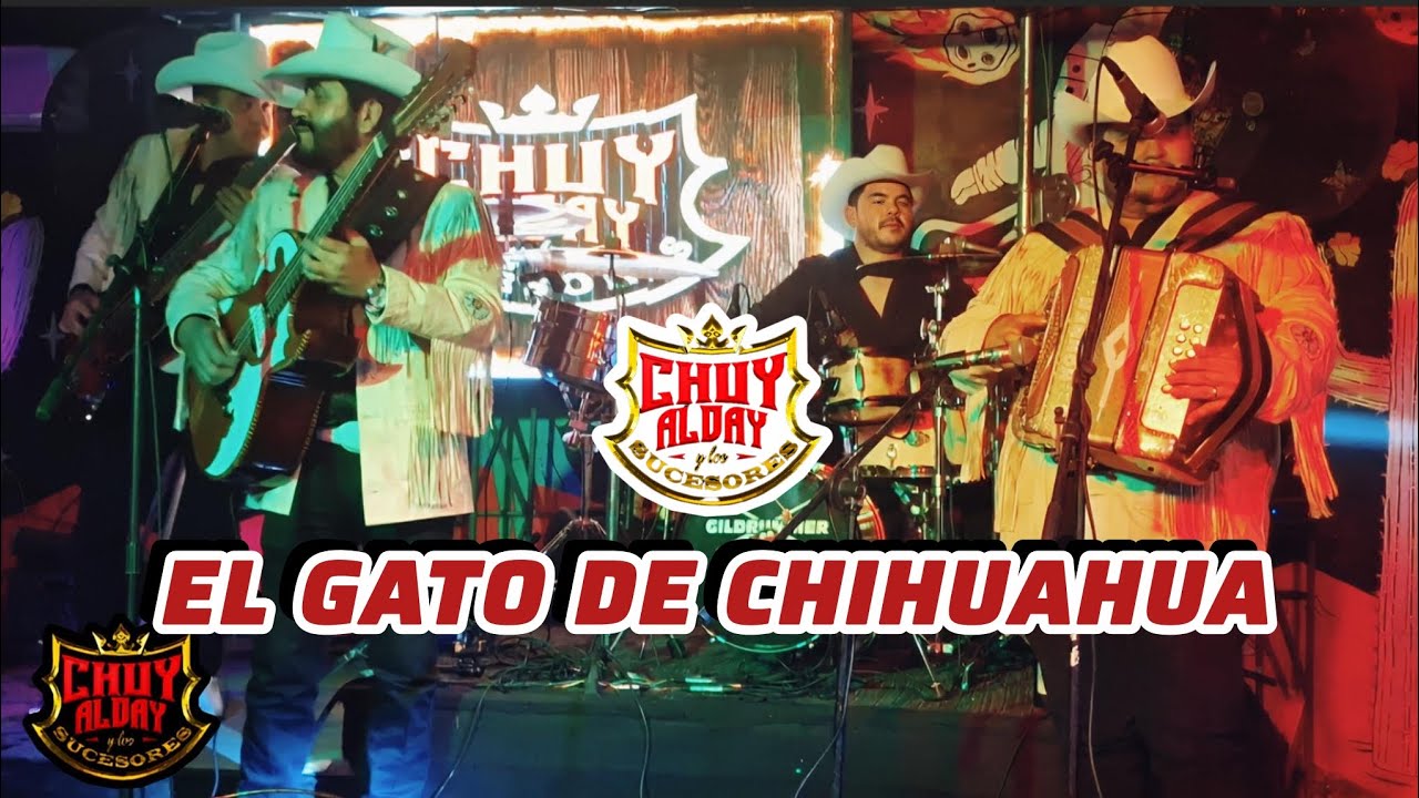 EL GATO DE CHIHUAHUA - Chuy Alday Y Los Sucesores [EN VIVO]