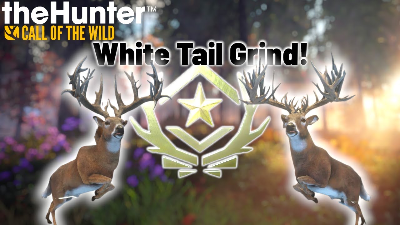 20th Great One Grind let's get this Whitetail |The Hunter Call of the wild