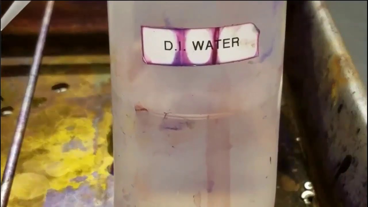 The Gram Stain