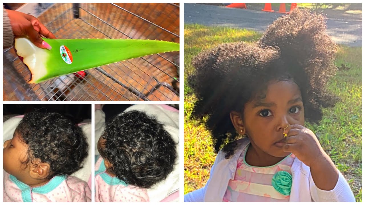ALOE VERA for moisturizing baby’s dry hair & fast growth