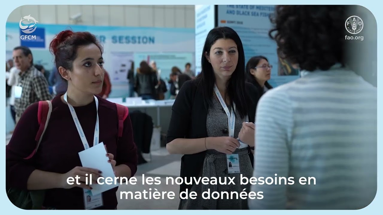 Le processus d&rsquo;&eacute;laboration des avis de la CGPM en mati&egrave;re de p&ecirc;che