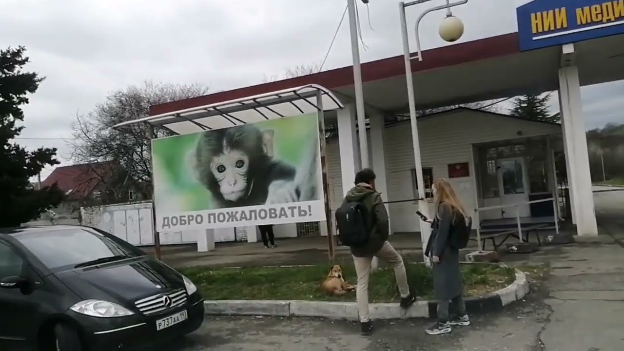 АДЛЕР. Обезьяний питомник. 04.23. Путешествие в одиночку 🙂.