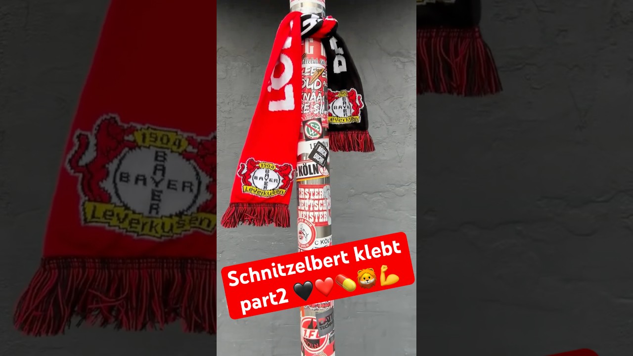 Schnitzelbert klebt 💪#kleben #bvb #1fck&ouml;ln #msvduisburg #borussiam&ouml;nchengladbach  #alemanniaaachen