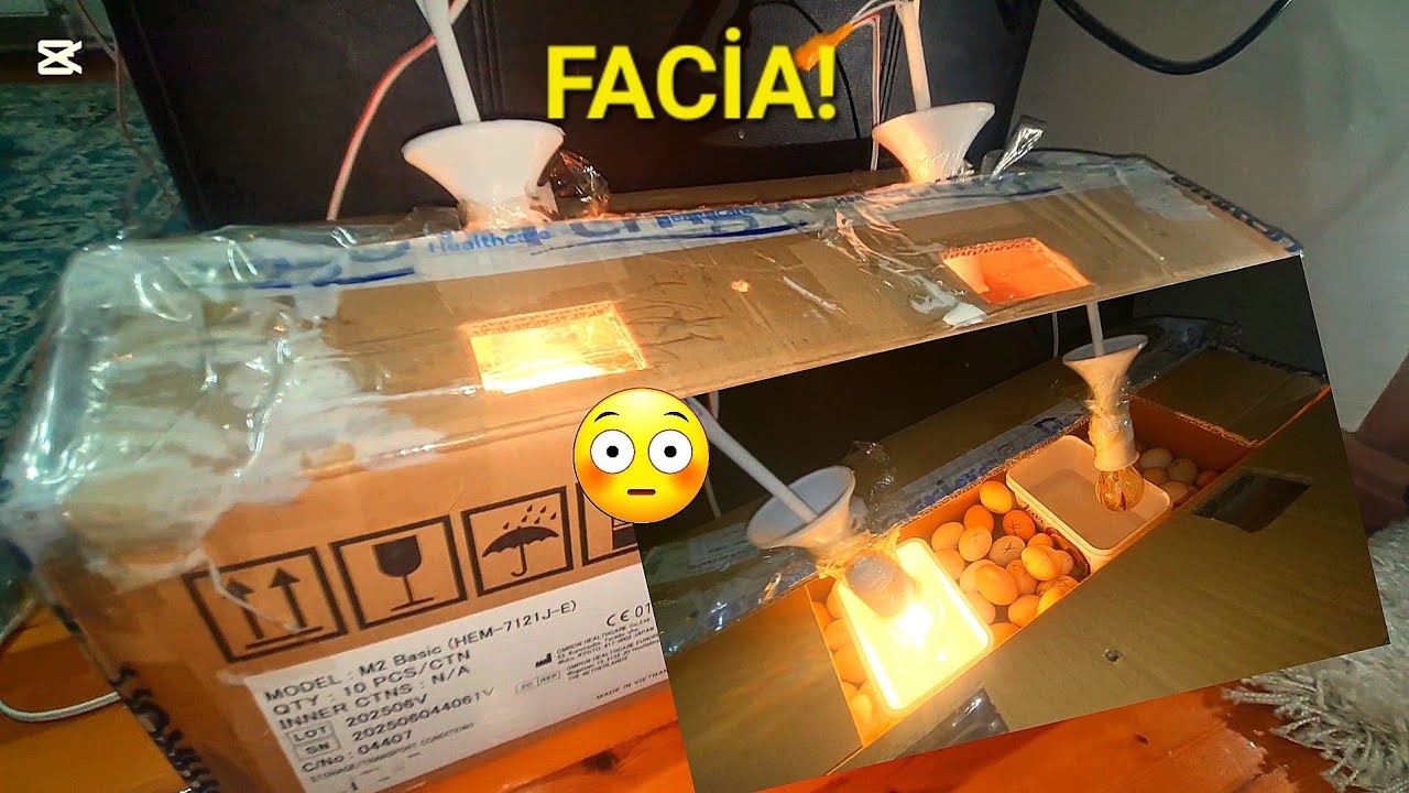  Ev Yapımı Kuluçka Makinesi Faciası | Yumurtaları Pişirdim! COOKED IN 1 DAY!👉 INCUBATOR FAIL!