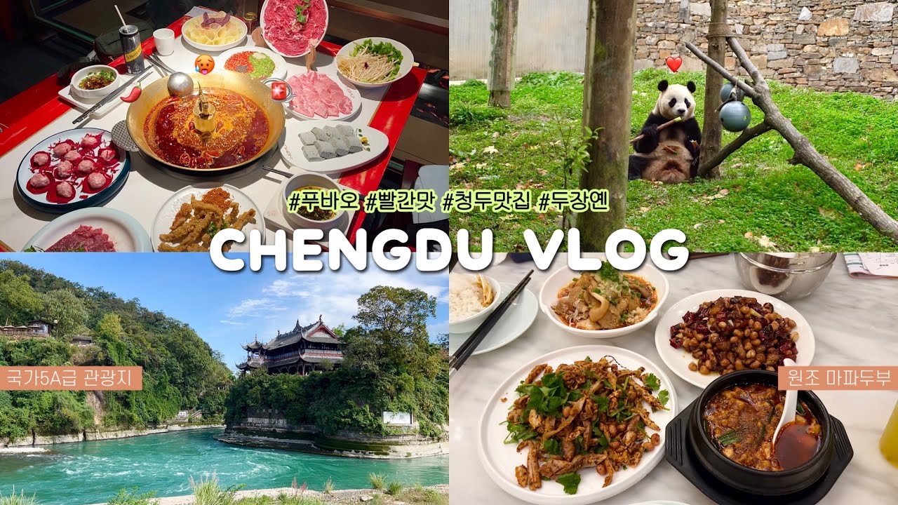 청두Vlog | 5박6일 맵싹한 청두여행🔥(부제:푸바오 원정대) 청두에서 선수핑기지, 국민판다 화화, 판다굿즈쇼핑🐼 두장옌찍먹, 청두맛집추천, 원조마파두부, 청두핫플, 마라훠궈