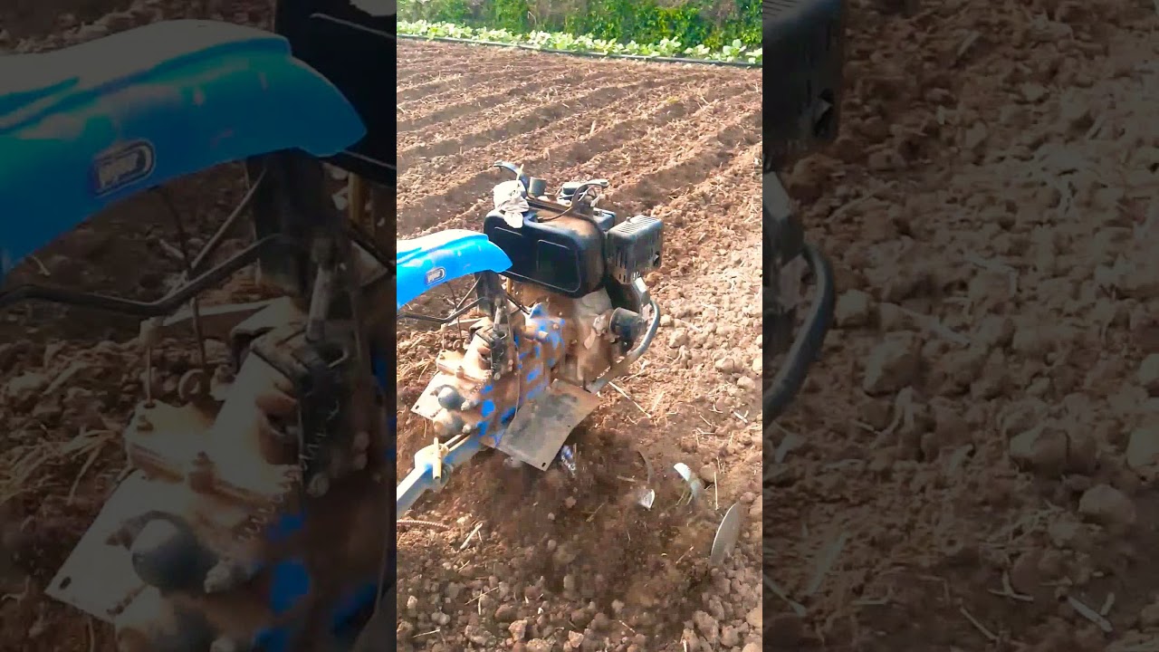 yağmur yet 510 ile tarla çapalama