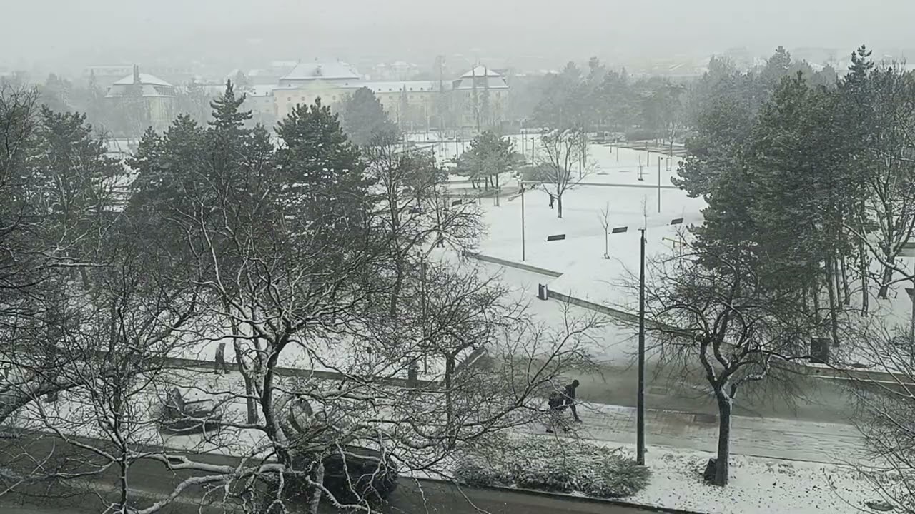 Calm snowfall. Its February 2026. No music. Listen to nature.