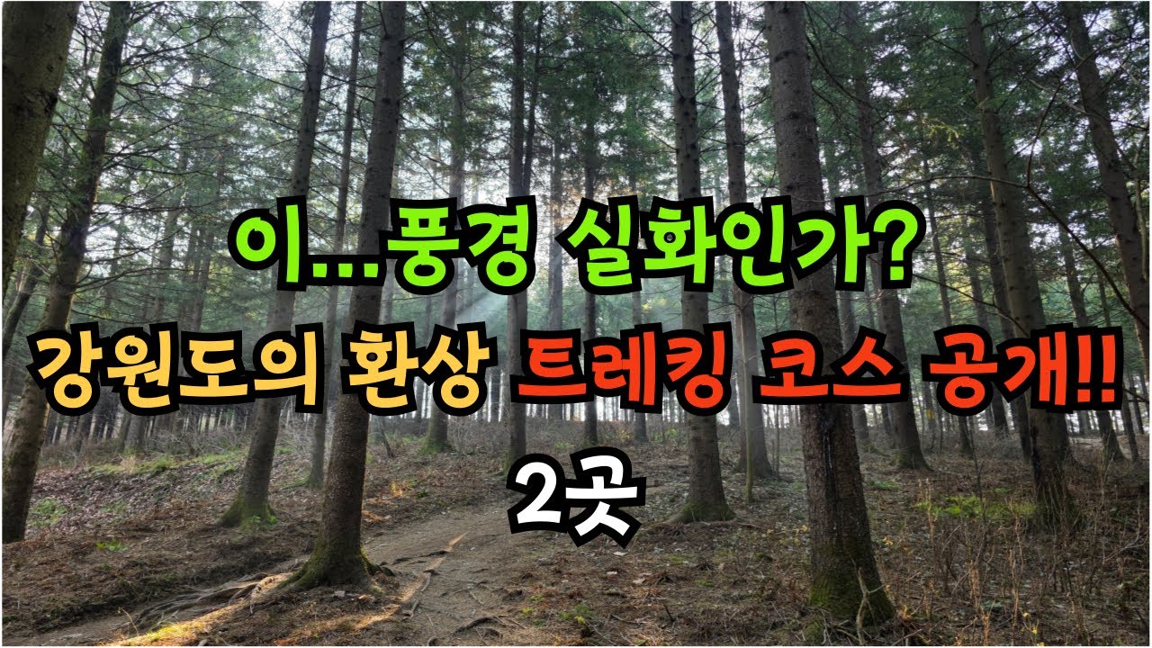 이..풍경 실화인가? 강원도의 환상 둘레길 코스 2곳!! / 초보등산