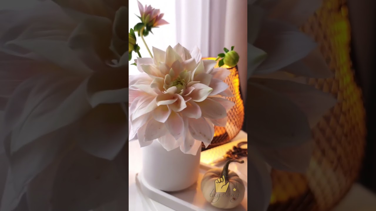 C&ugrave;ng m&igrave;nh l&agrave;m HOA nh&eacute; [Clay Art]