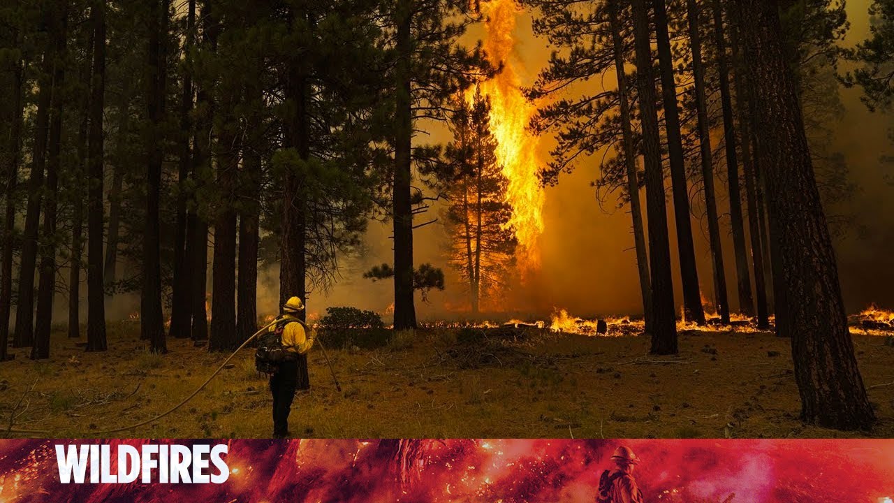 Firefighters take us inside trenches of massive California wildfire
