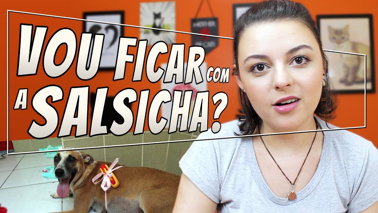 Cuidados com Filhotes de Cachorro | PERGUNTAS sobre  Bbs HotDogs