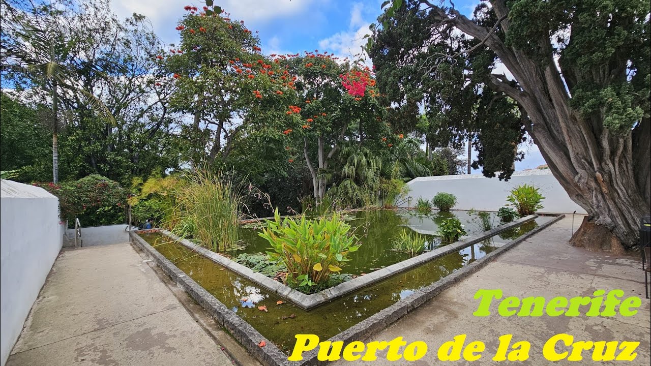 To visit in Tenerife: La Orotava Botanical Garden (in the end of December 2023)