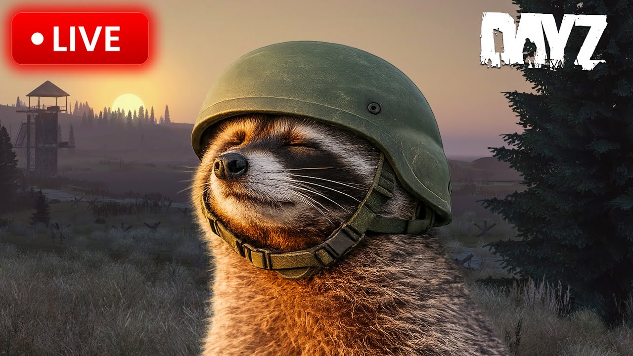 JUST CHILLIN' IN DAYZ ( 1440p LIVESTREAM )