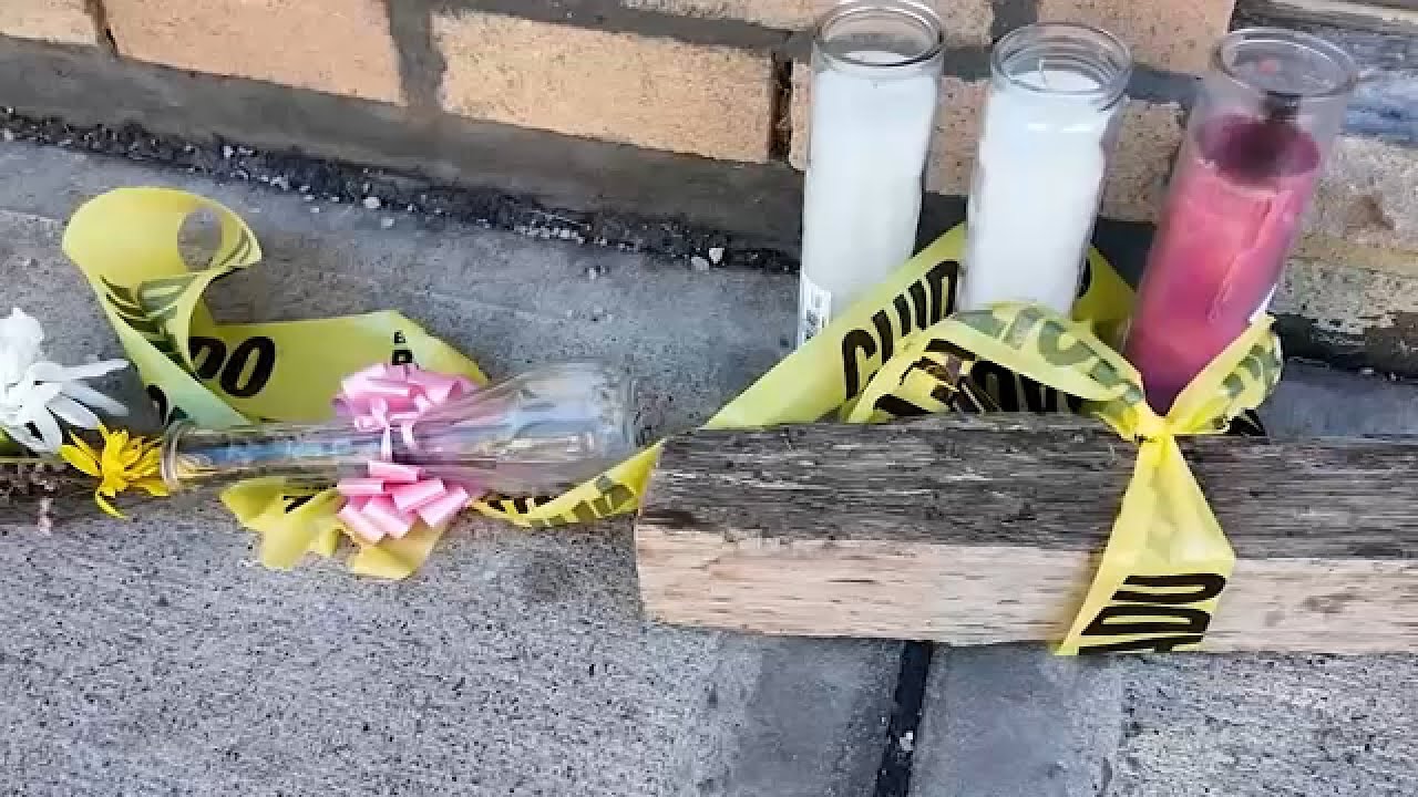 Suspect charged with murder in death of 2 women in Spring Valley