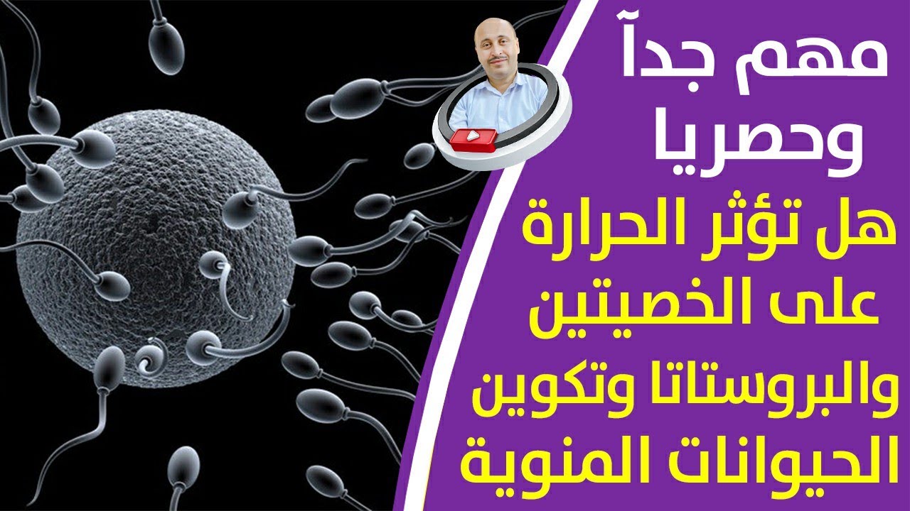 علاج سخونة وحرقان منطقة الخصيتين وتأثير الحرارة على الخصيتين والحيوانات المنوية والبروستاتا