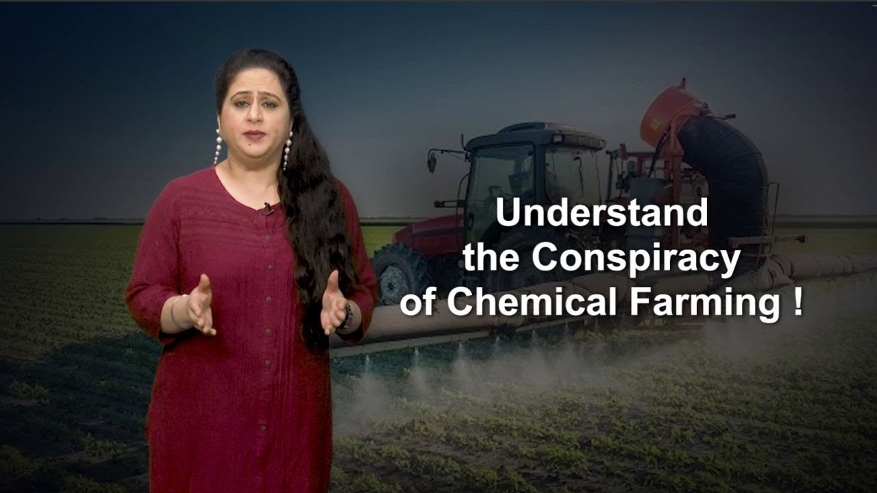 The Pesticide Conspiracy: Organic vs. Chemical Farming. the scoop india