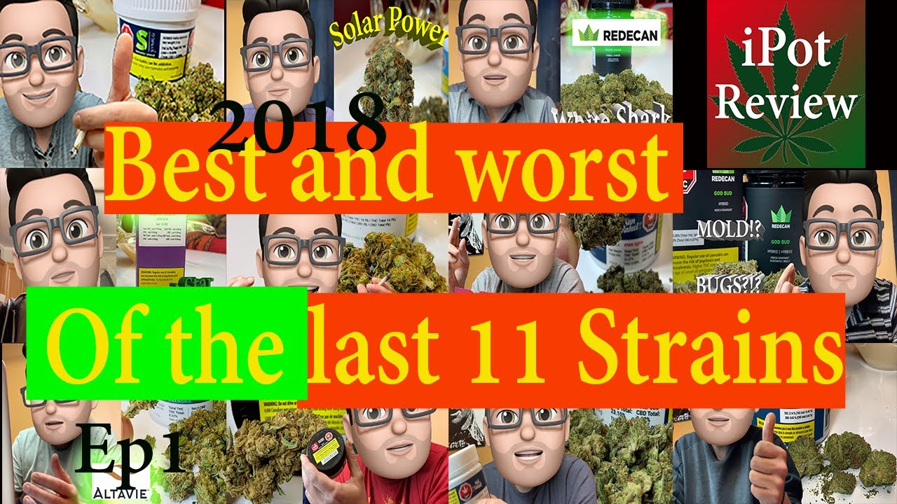 Top Canadian Pot Strains Reviewed Again! (11 strains) Episode 1 | OCS reviews