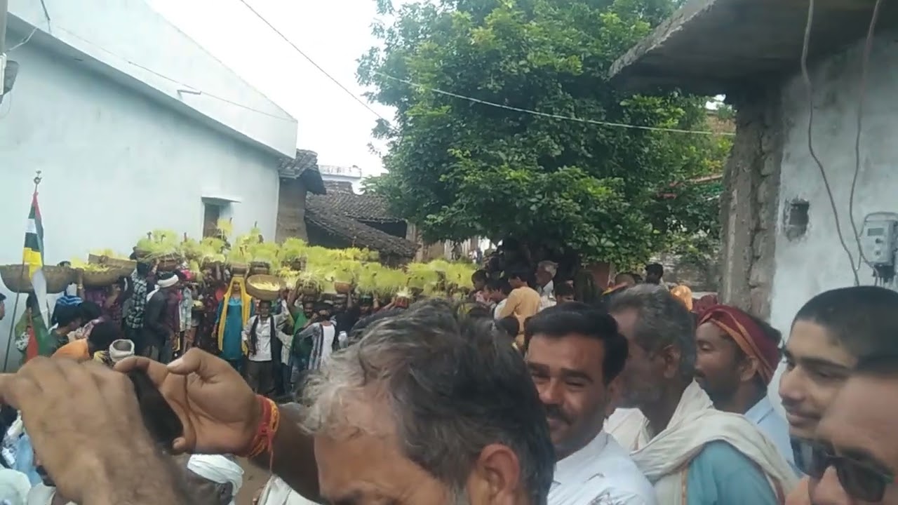 ग्राम मझगुवां खुर्द नव दुर्गा जवारे विसर्जन