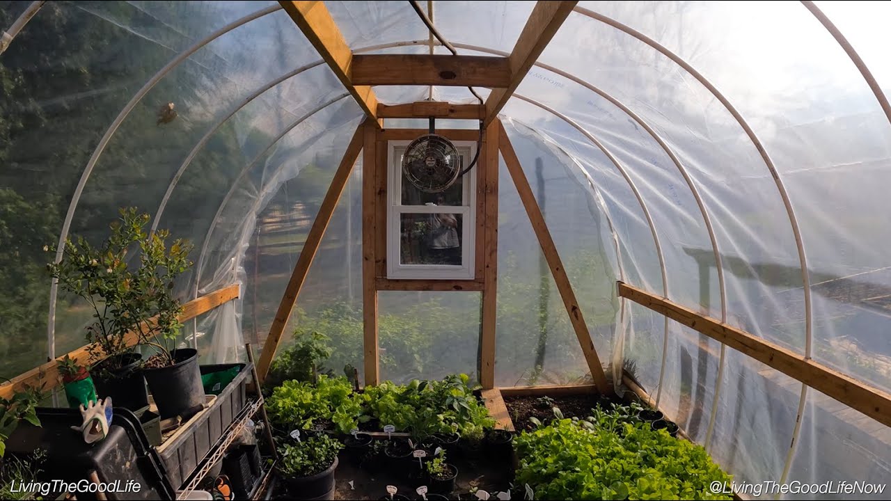 Теплица из ПВХ своими руками за один день 🌱 Полные пошаговые инструкции по сборке: просто и недорого