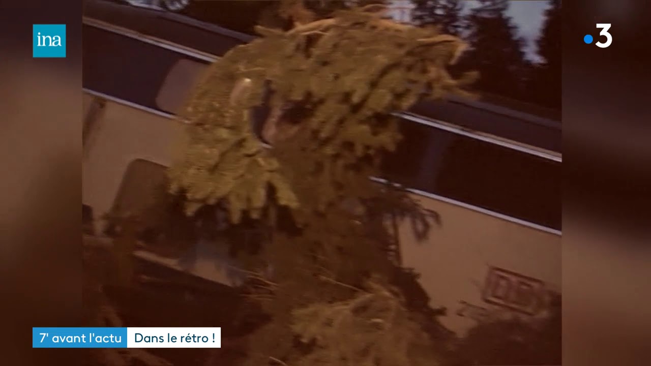 Tempêtes Lothar. Décembre 1999