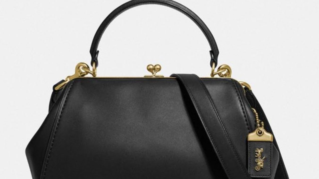 Coach Frame Bag